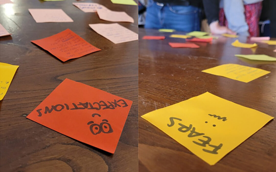 Expectations & fears